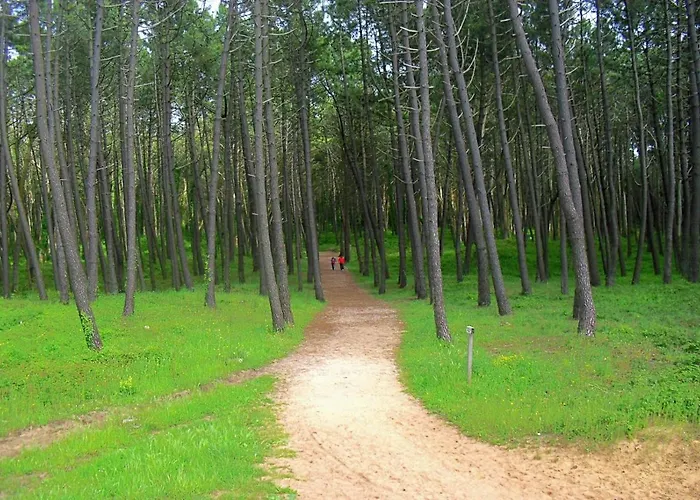 Prázdninový dům Casa - Playa De Liencres